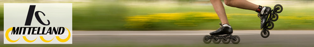 banner_icm2.jpg
